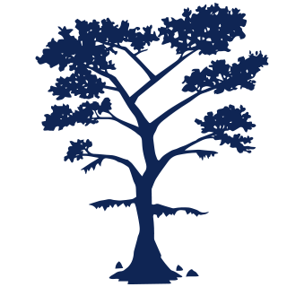 tree_logo_312